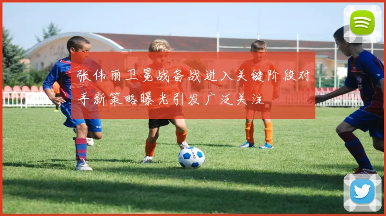 张伟丽卫冕战备战进入关键阶段对手新策略曝光引发广泛关注